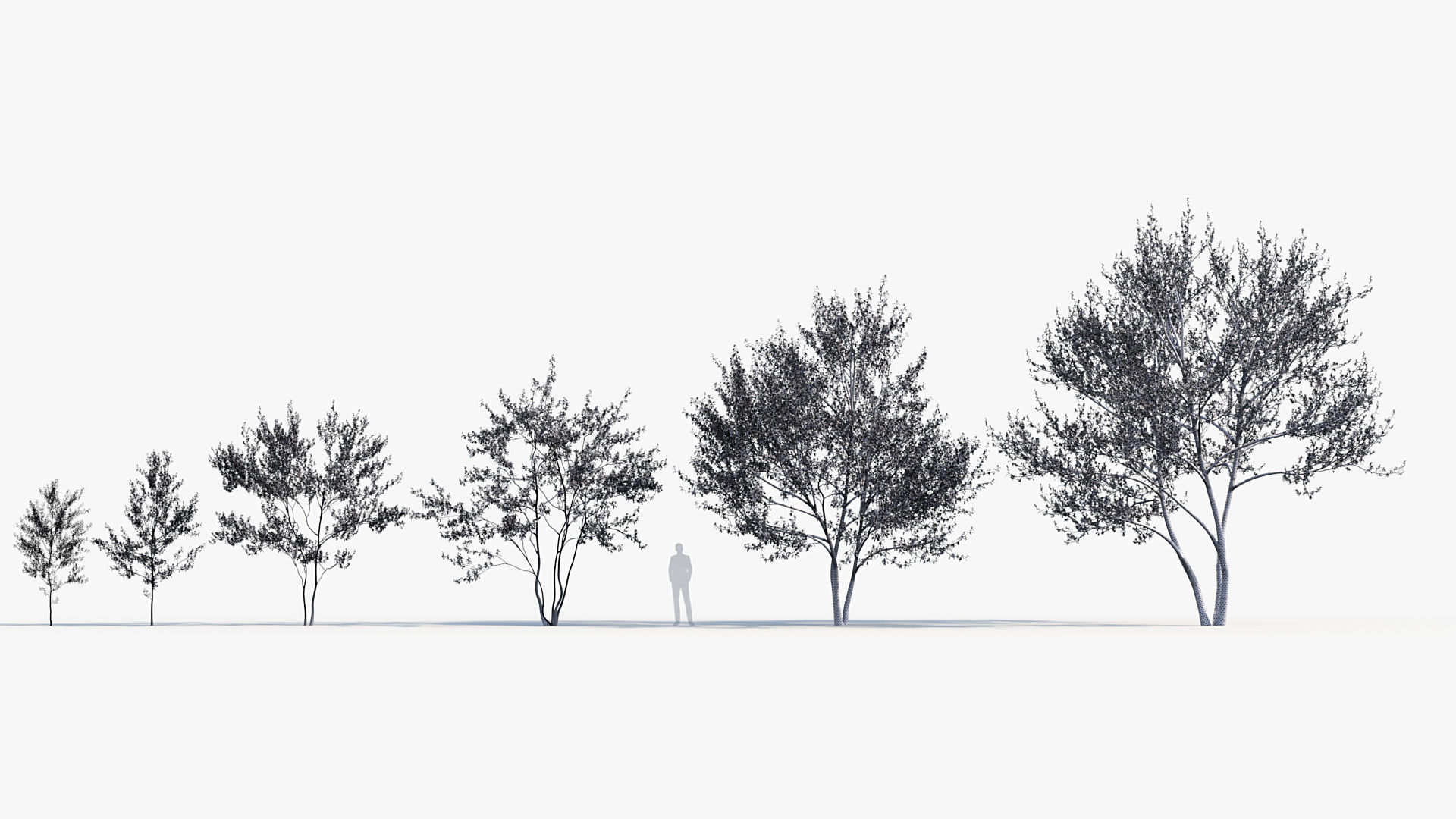 Package 08 Small Trees Collection 3D model_17