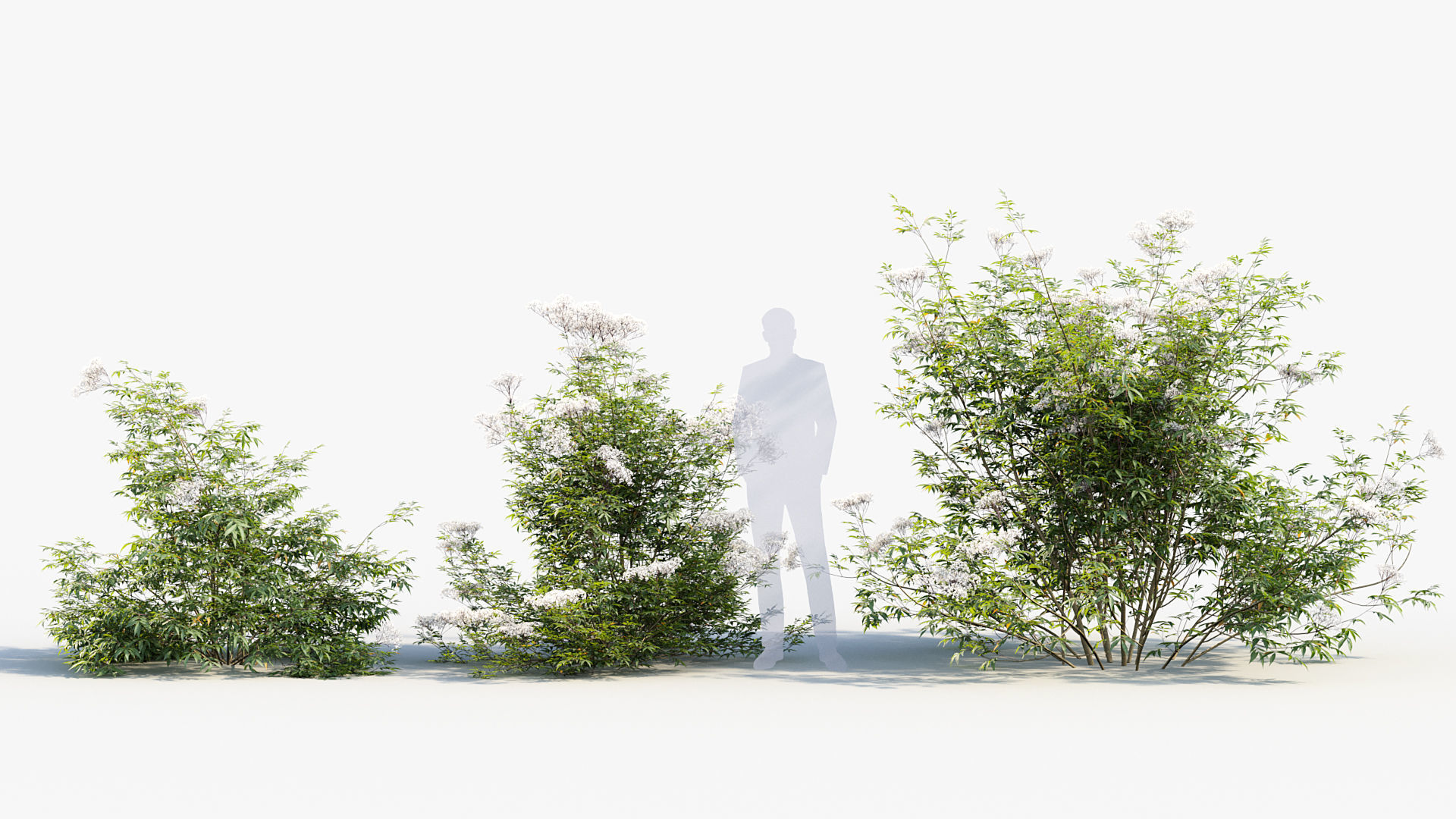 Package 08 Small Trees Collection 3D model_59