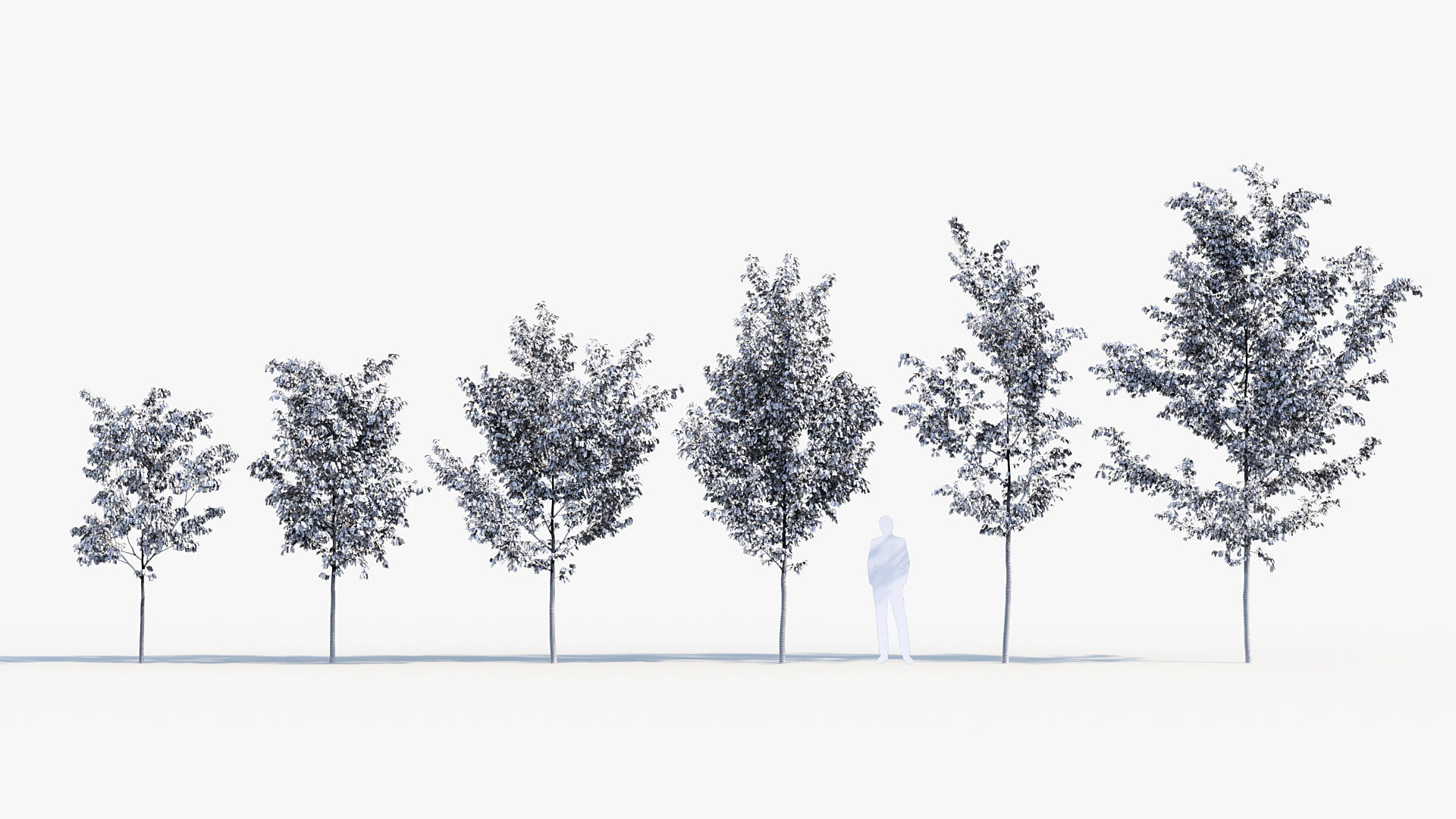 Package 08 Small Trees Collection 3D model_25