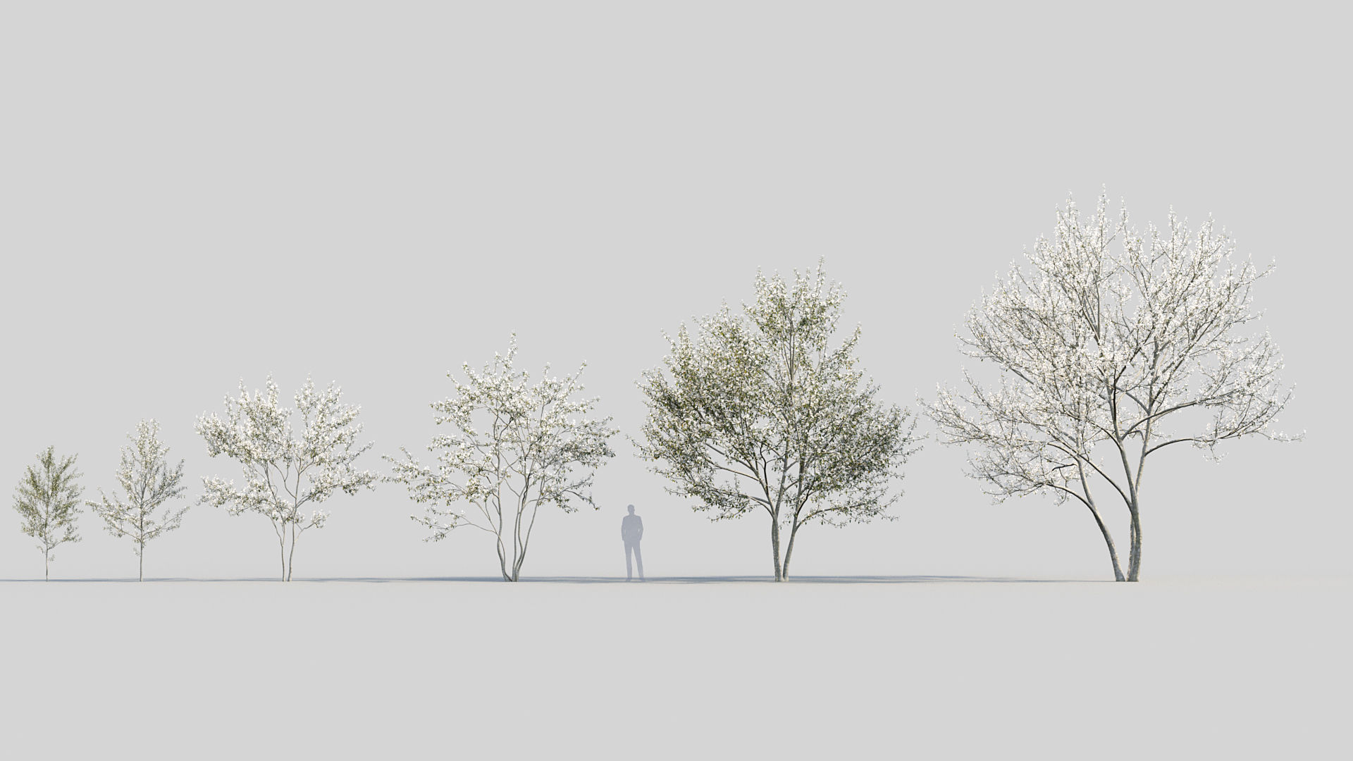 Package 08 Small Trees Collection 3D model_10