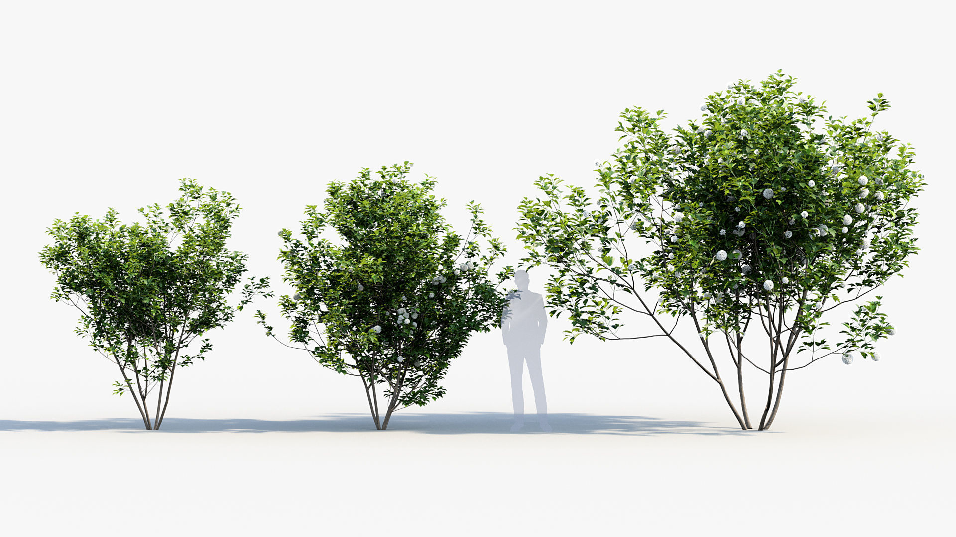 Package 08 Small Trees Collection 3D model_76