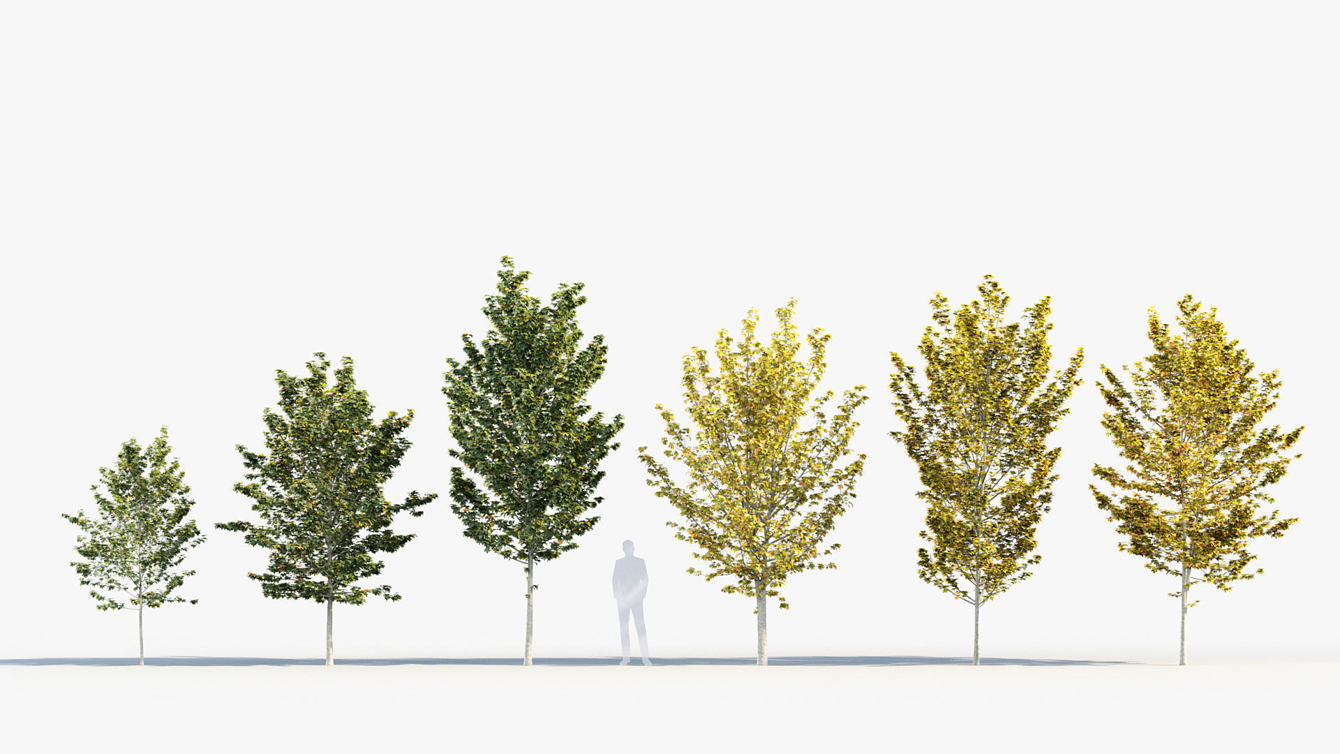 Package 08 Small Trees Collection 3D model_2