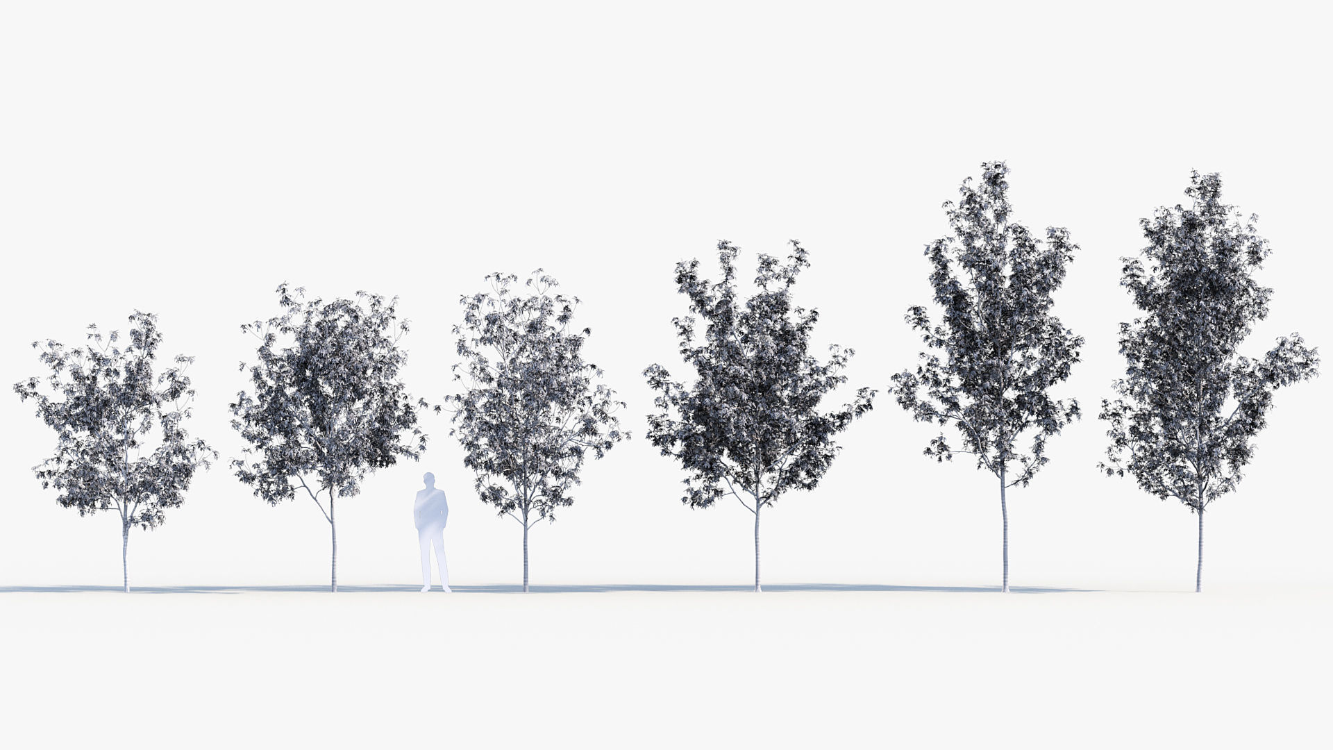 Package 08 Small Trees Collection 3D model_33