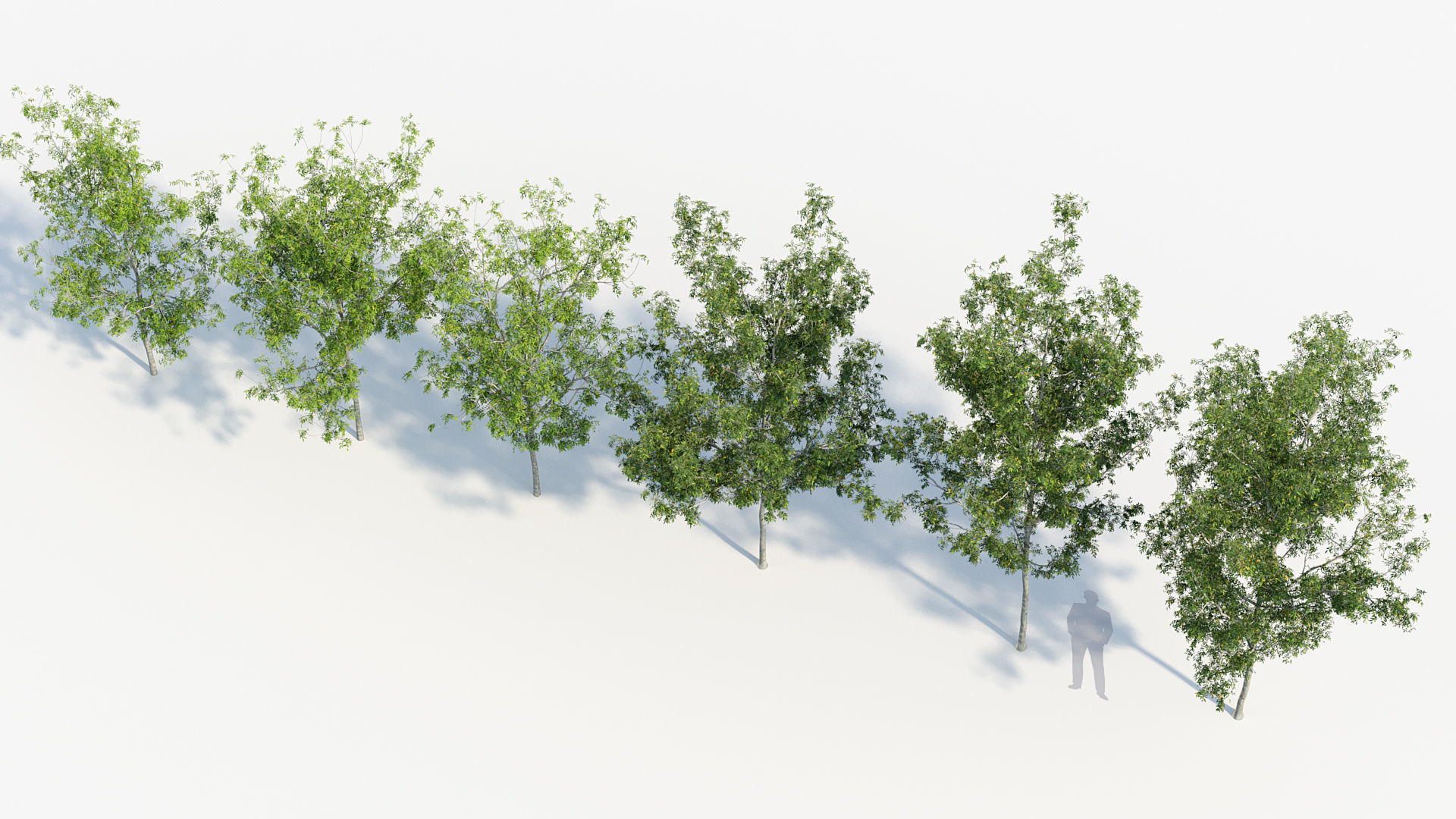 Package 08 Small Trees Collection 3D model_32