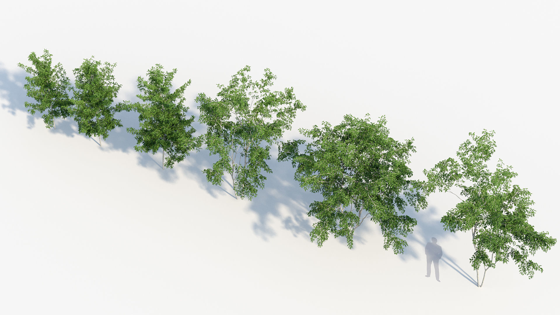 Package 08 Small Trees Collection 3D model_40