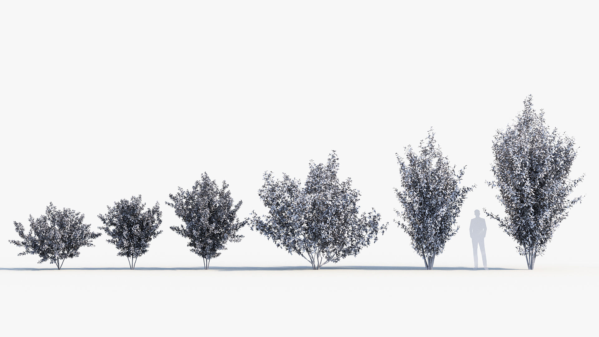 Package 08 Small Trees Collection 3D model_57