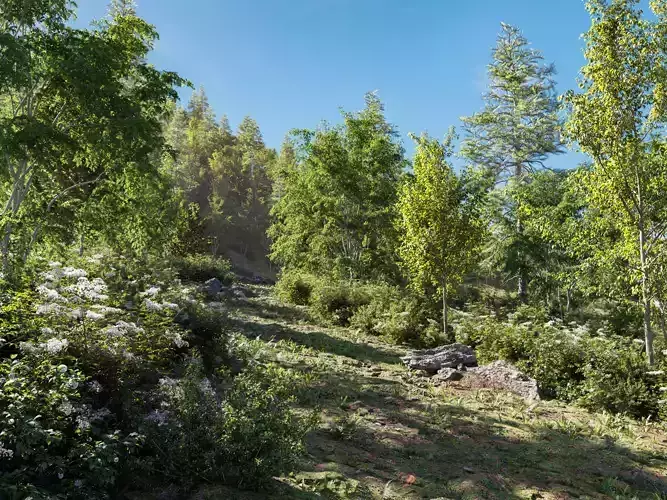 Package 08 Small Trees Collection