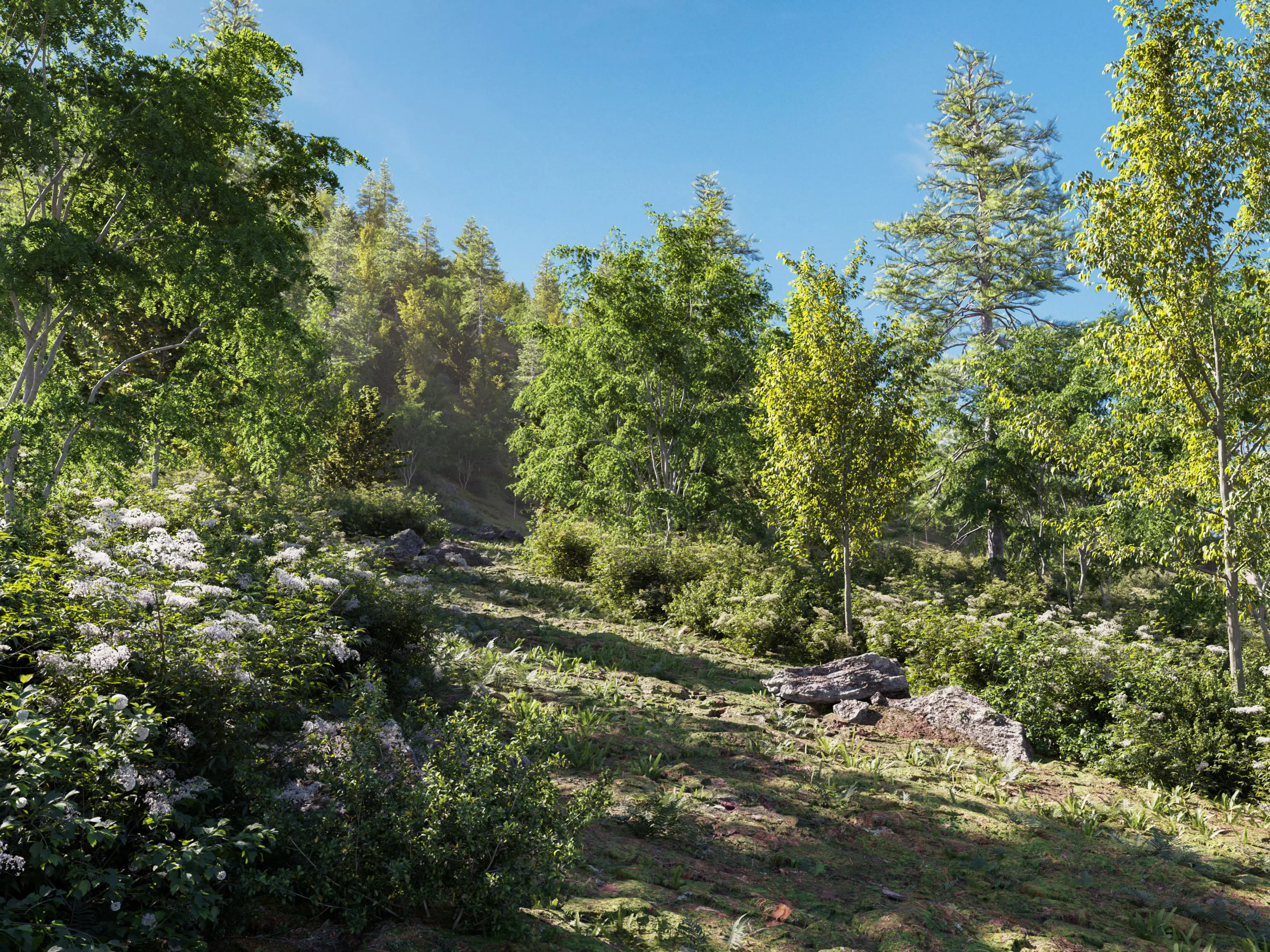 Package 08 Small Trees Collection 3D model_0