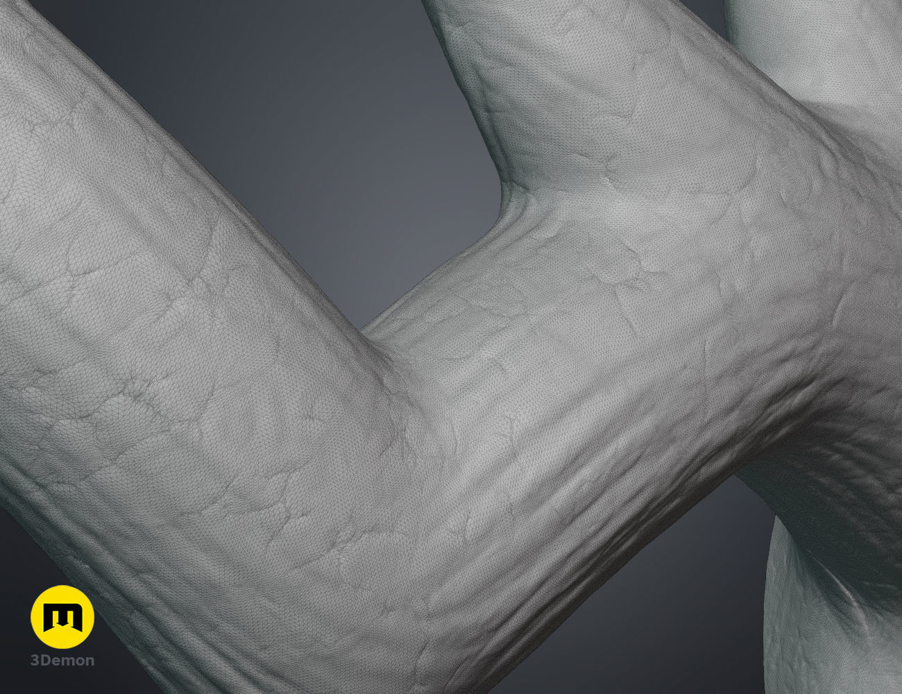 Nian Horns Arknights 3D print model_16