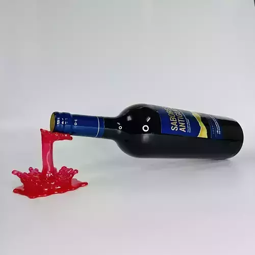 SPILLED WINE HOLDER - BOTTLE HOLDER -V1