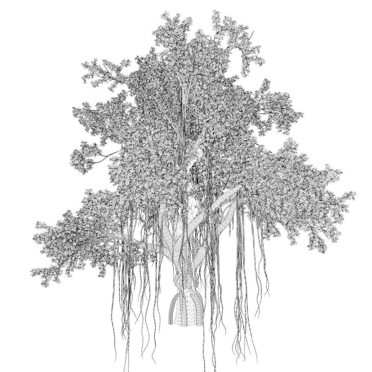 Chinese Banyan Tree - 01 - 3D model_2