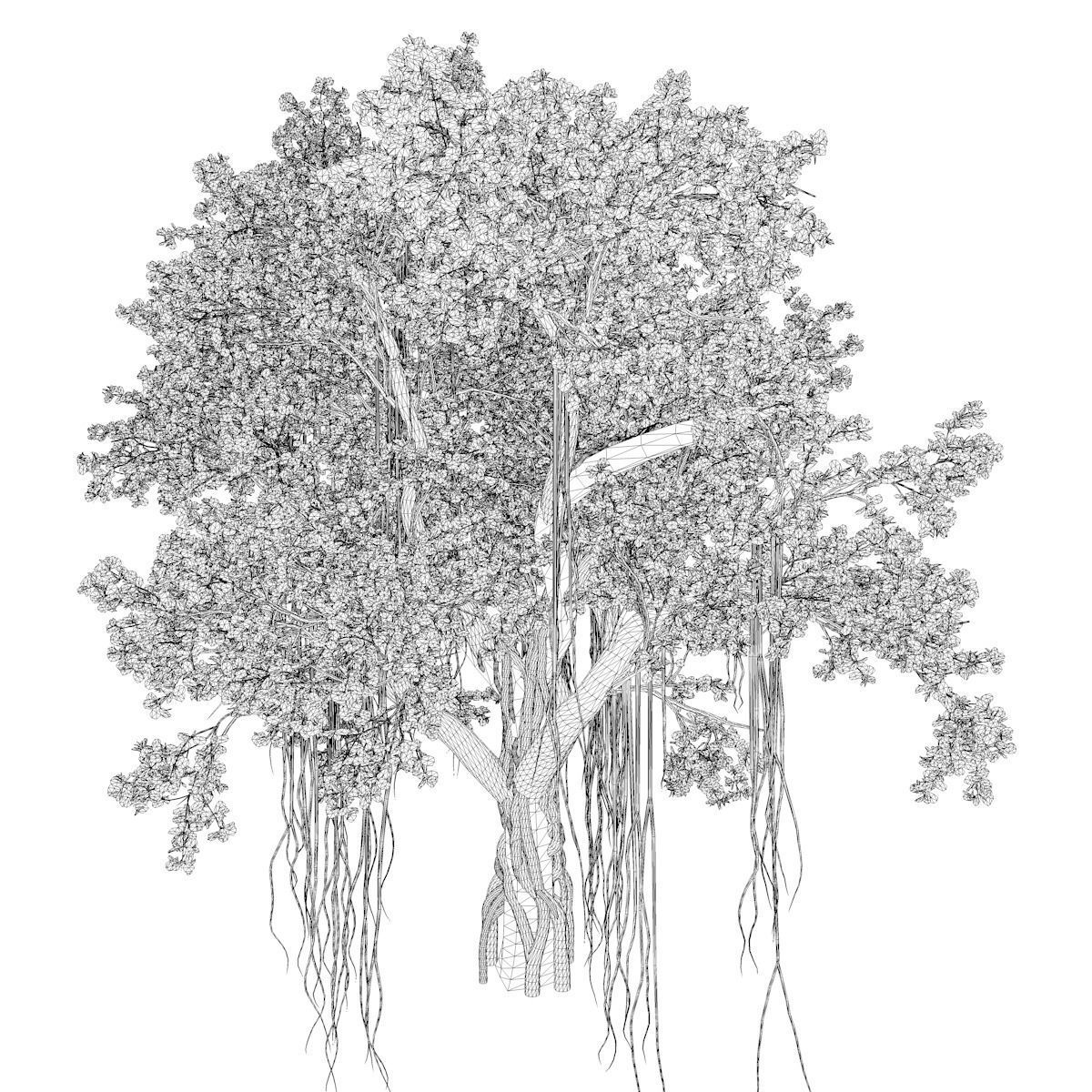 Chinese Banyan Tree - 03 - 3D model_2