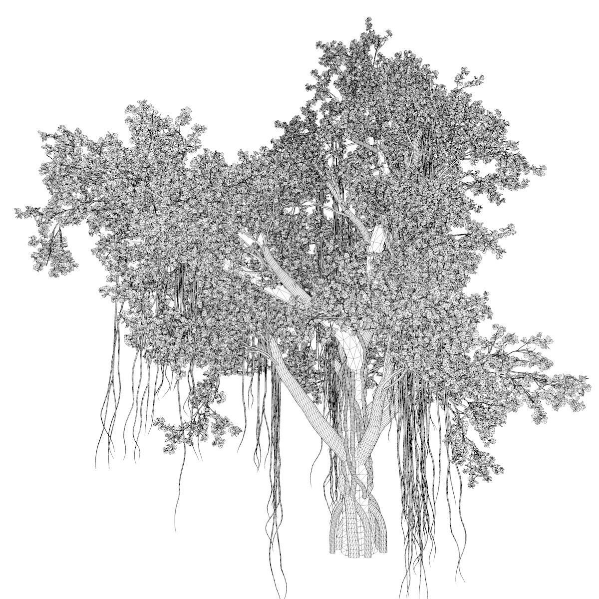 Chinese Banyan Tree - 05 - 3D model_2