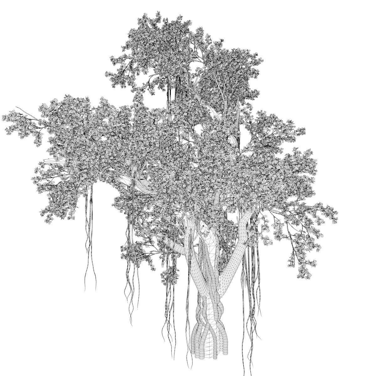Chinese Banyan Tree - 07 - 3D model_2