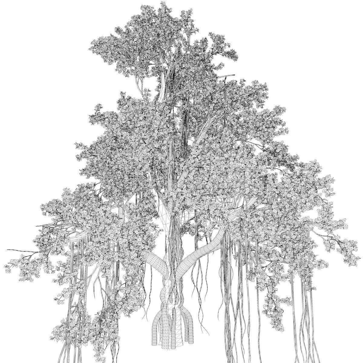Chinese Banyan Tree - 09 - 3D model_2