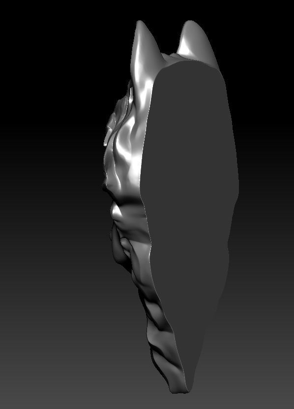 3D model RELIEF HEAD WOLF 3D print model_27
