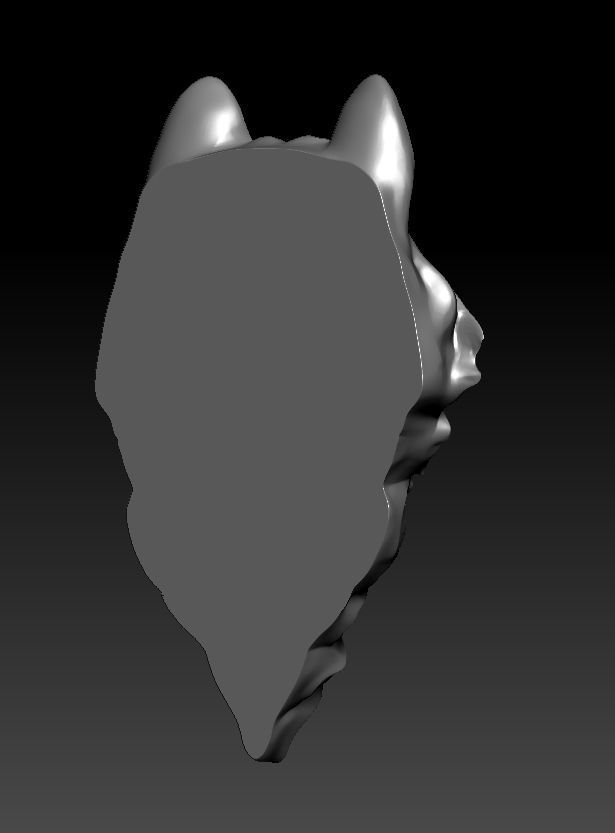 3D model RELIEF HEAD WOLF 3D print model_8
