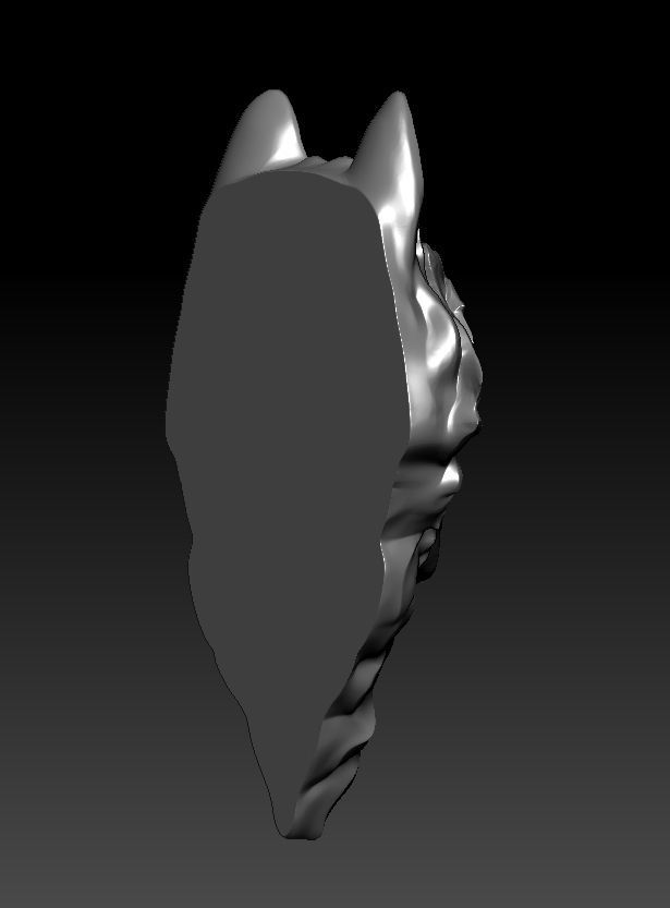 3D model RELIEF HEAD WOLF 3D print model_9