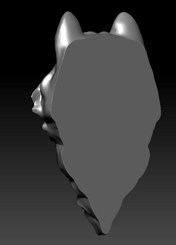 3D model RELIEF HEAD WOLF 3D print model_28