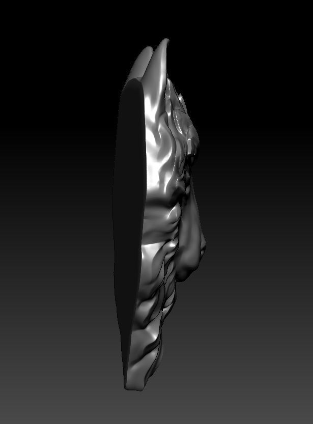 3D model RELIEF HEAD WOLF 3D print model_10