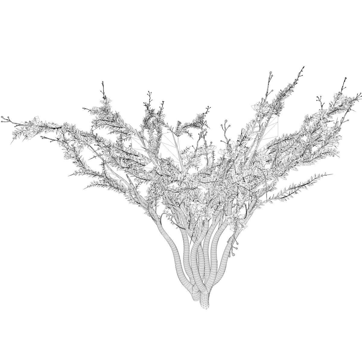 Crape Myrtle Tree - 09 - 3D model_2