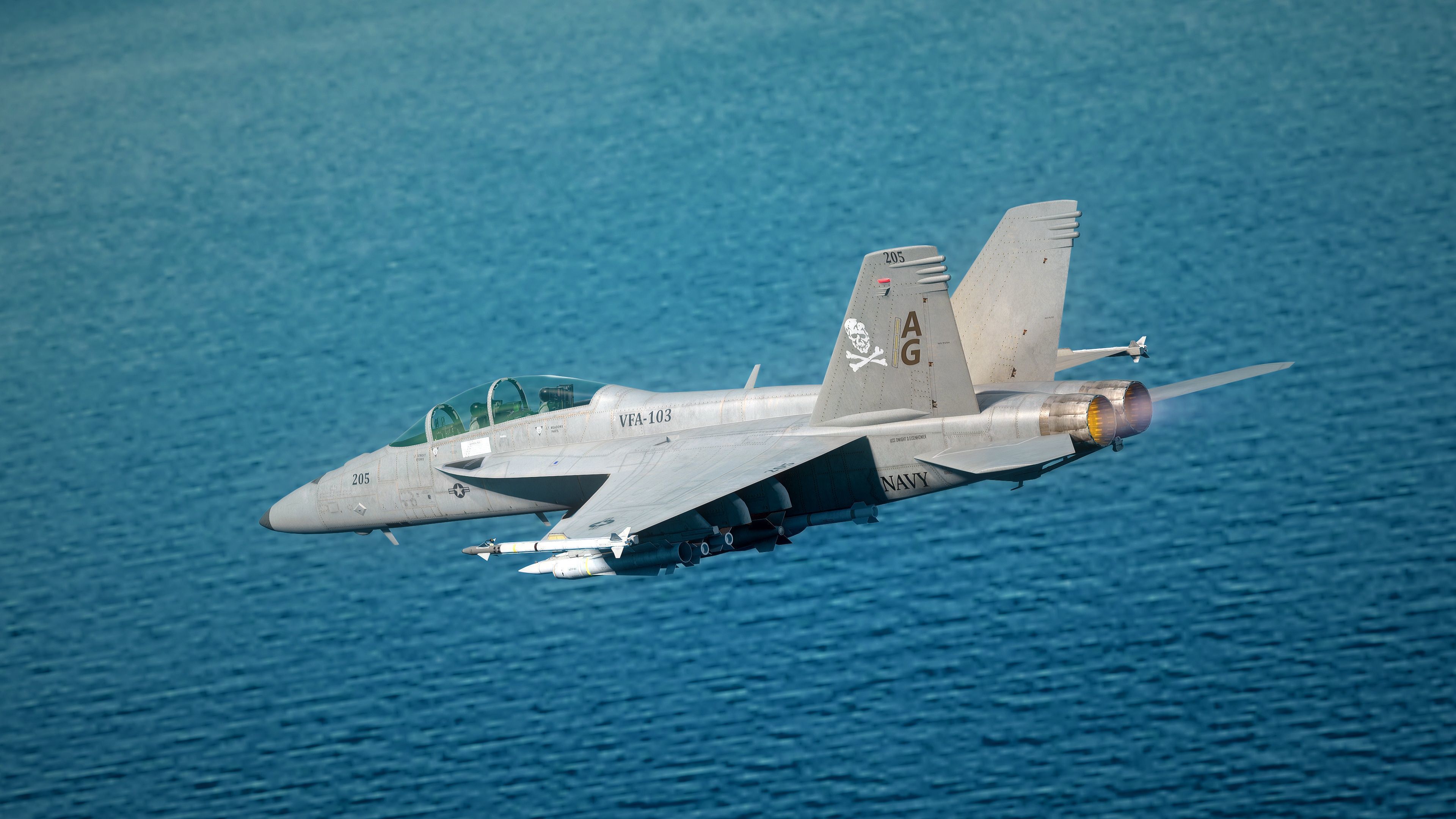 F18F Super Hornet-Rigged-with Cocpit - Changeable decal and text Low-poly 3D model_5