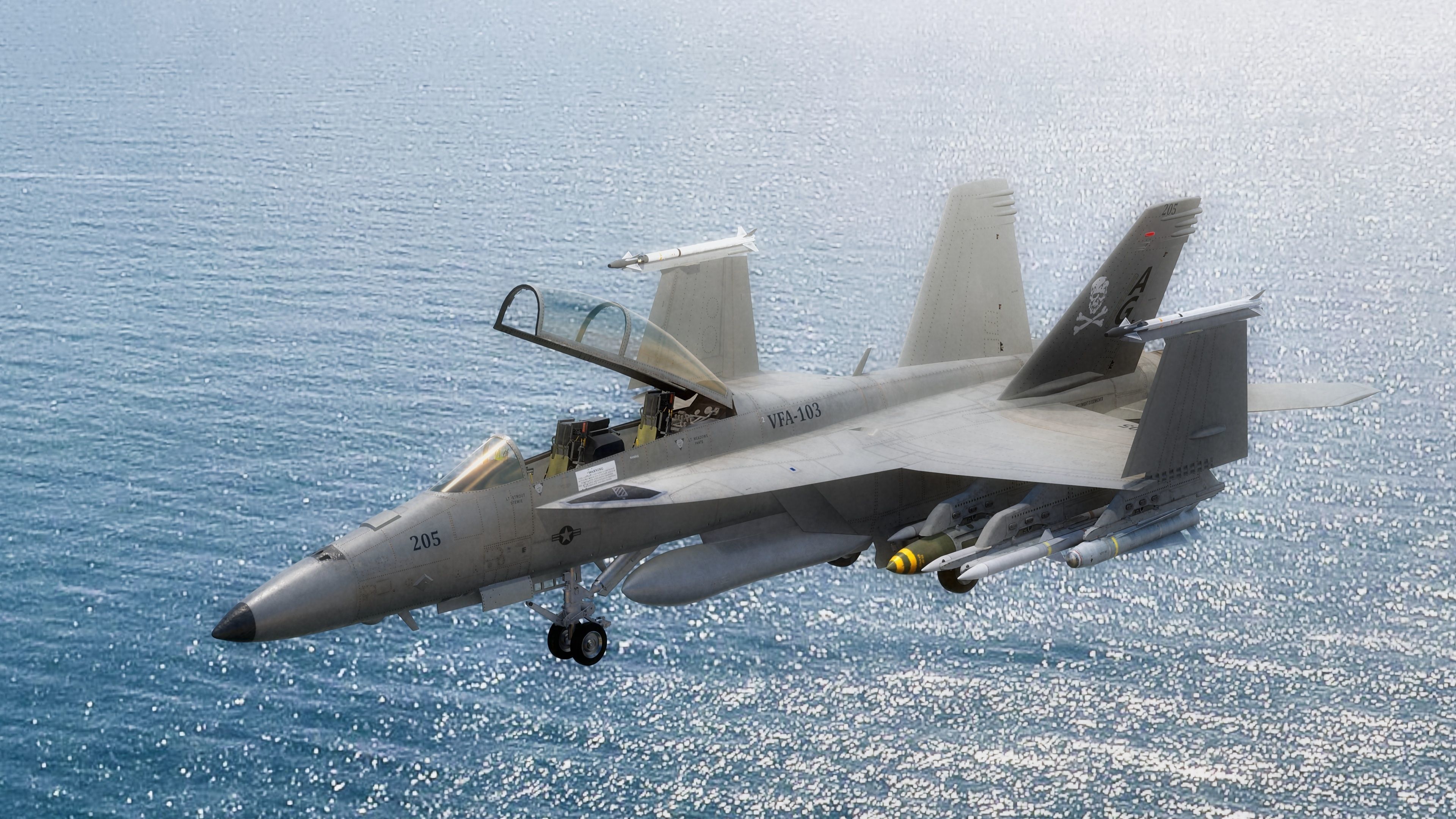 F18F Super Hornet-Rigged-with Cocpit - Changeable decal and text Low-poly 3D model_38