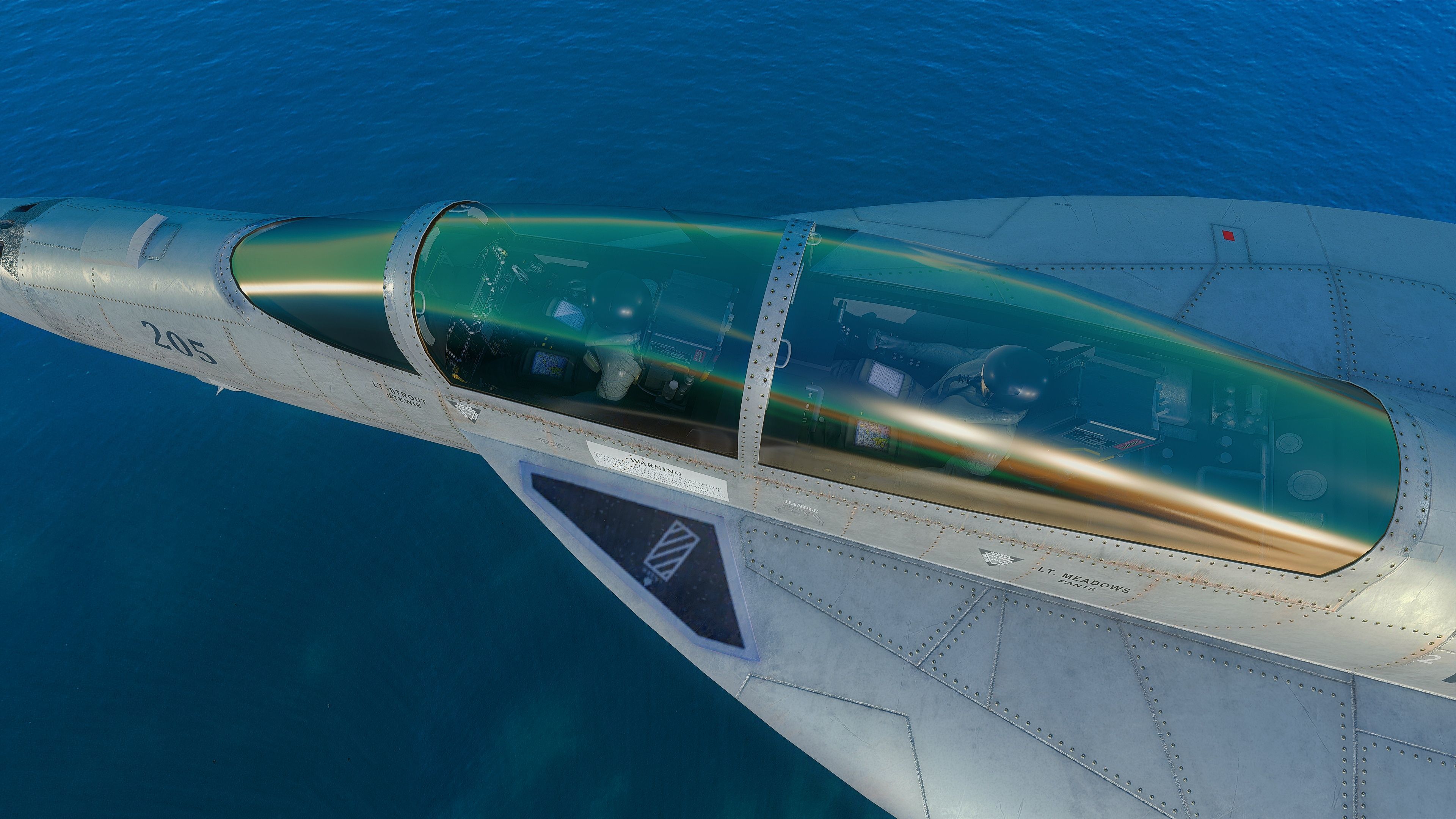 F18F Super Hornet-Rigged-with Cocpit - Changeable decal and text Low-poly 3D model_40