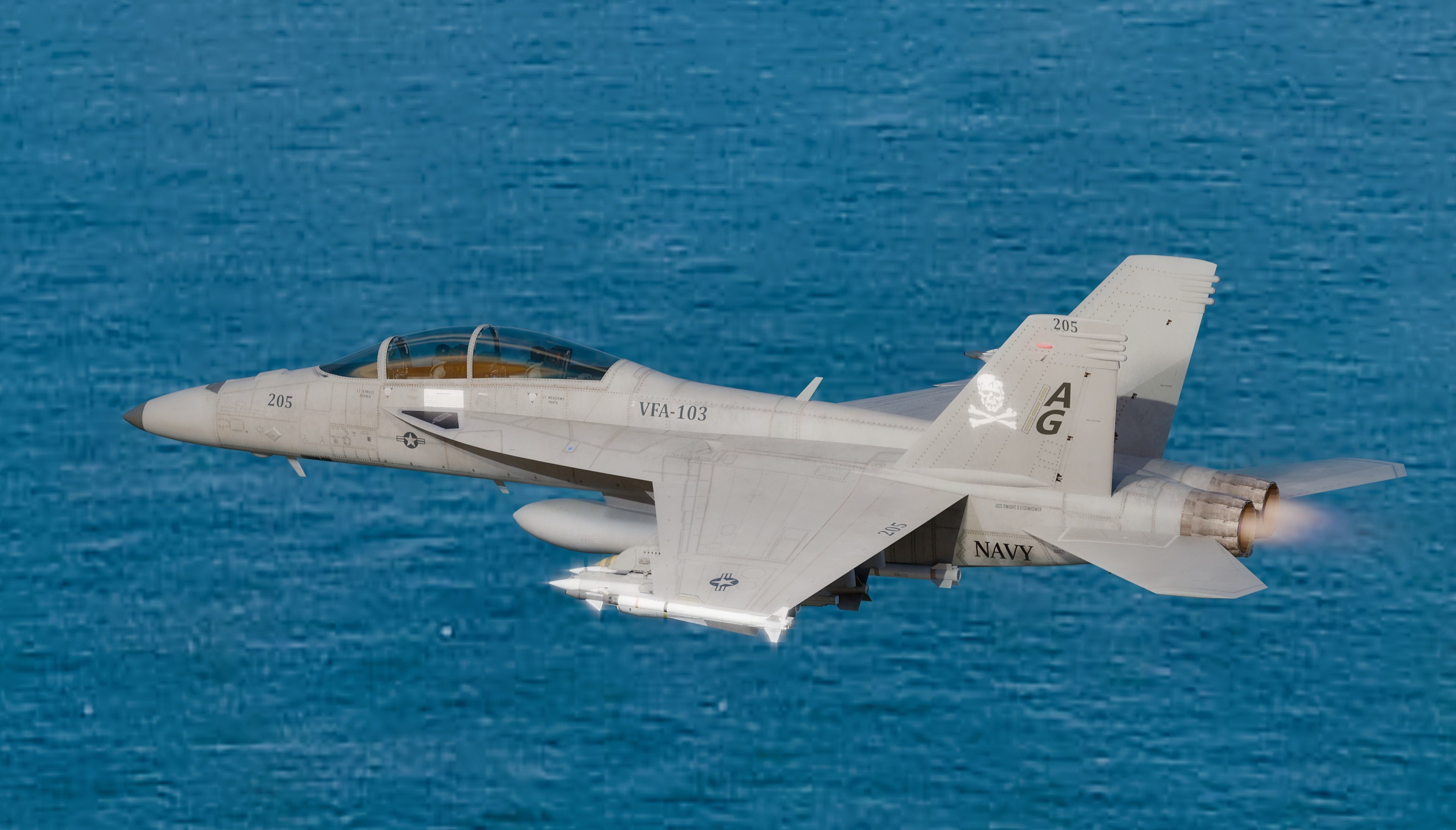 F18F Super Hornet-Rigged-with Cocpit - Changeable decal and text Low-poly 3D model_11