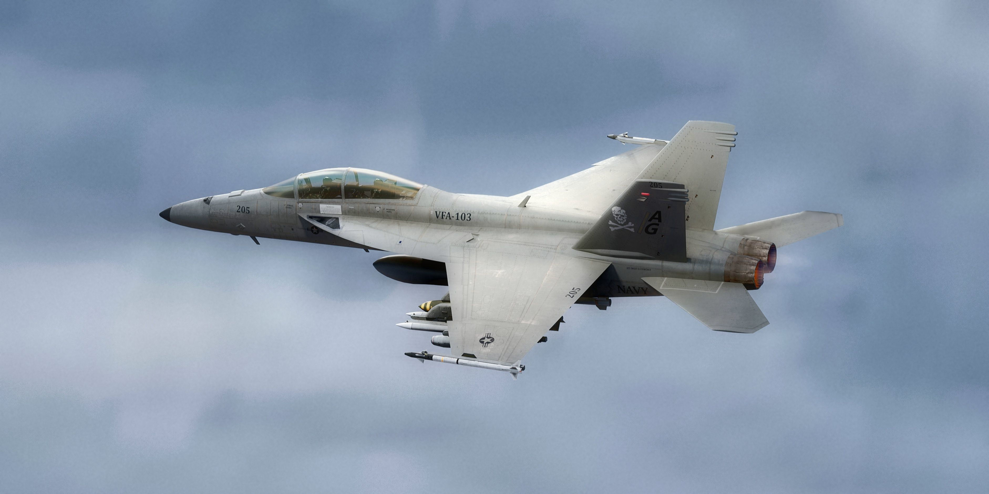 F18F Super Hornet-Rigged-with Cocpit - Changeable decal and text Low-poly 3D model_4