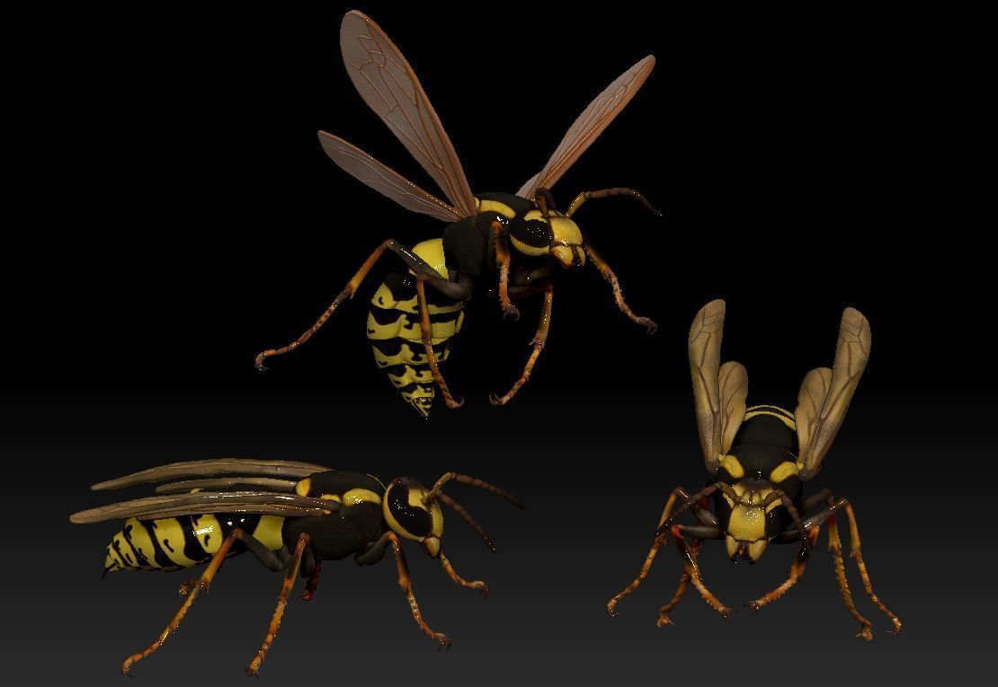 Wasp three different poses and nest 3D print model_3