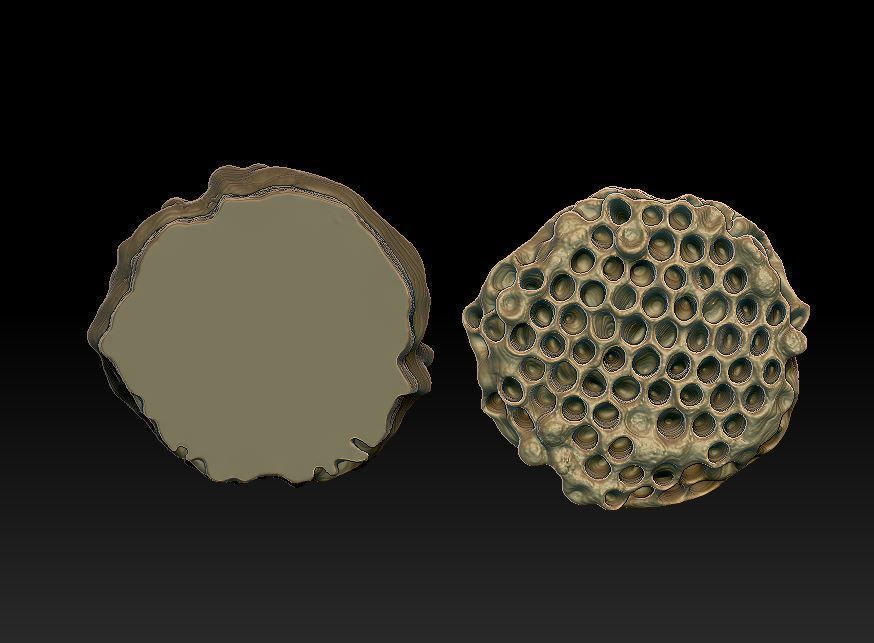 Wasp three different poses and nest 3D print model_7