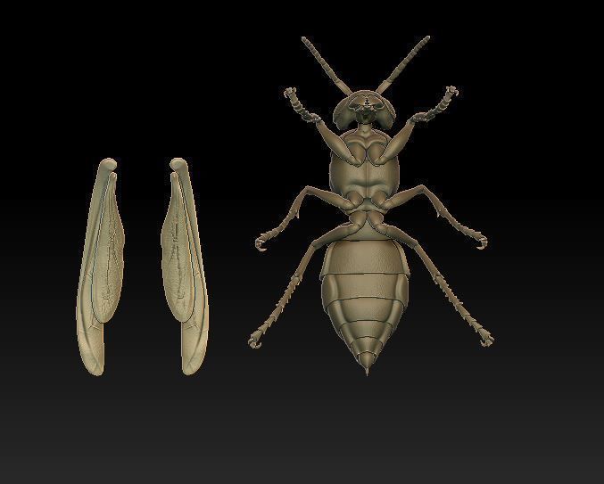 Wasp three different poses and nest 3D print model_9