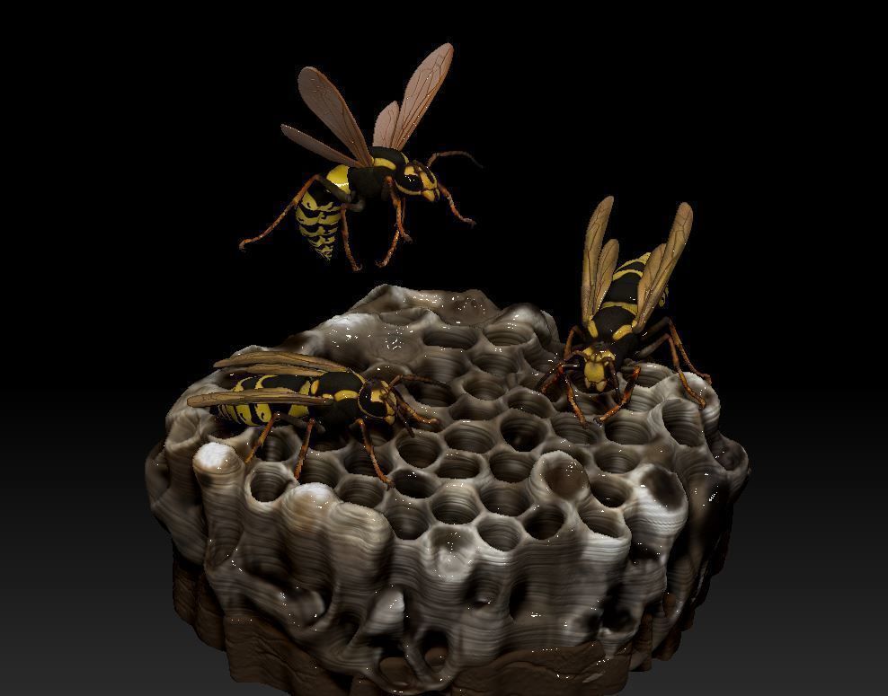 Wasp three different poses and nest 3D print model_4