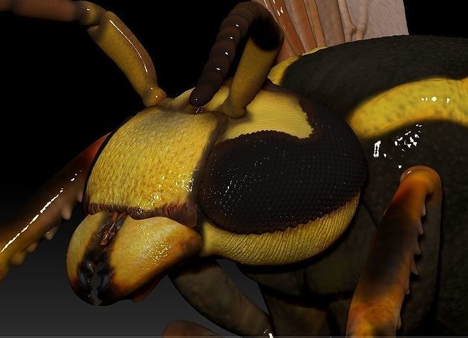Wasp three different poses and nest 3D model 3D printable | CGTrader