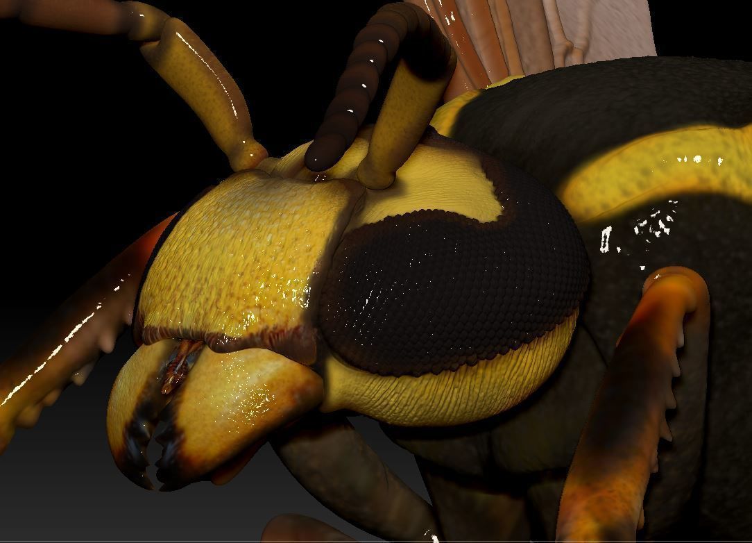 Wasp three different poses and nest 3D print model_1