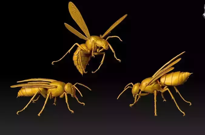 Wasp three different poses and nest 3D print model