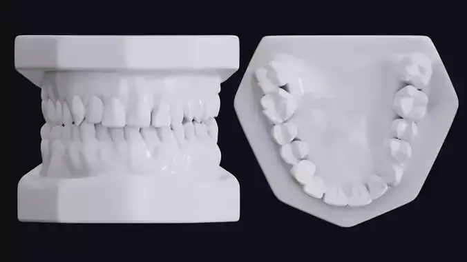 Teeth 3D print model