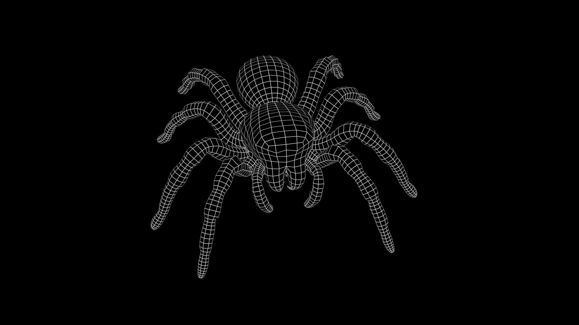 Jumping Spider Low-poly 3D model_11