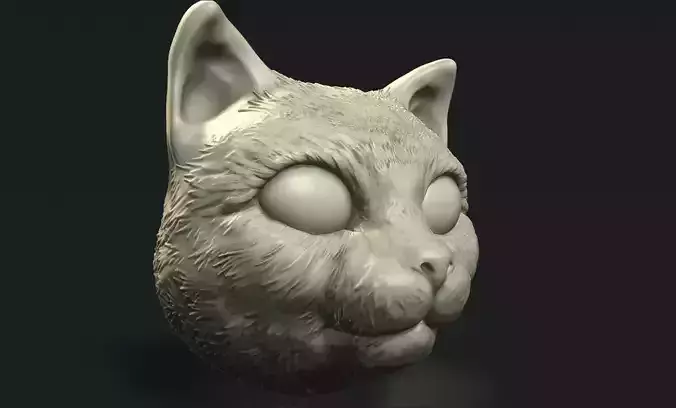 cat head
