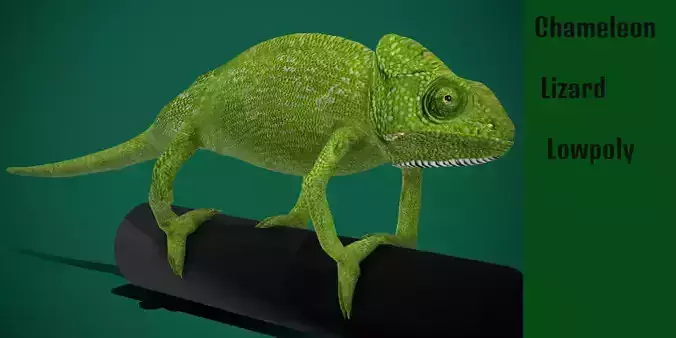 Chameleon Lizard Reptiles Low-poly 3D model