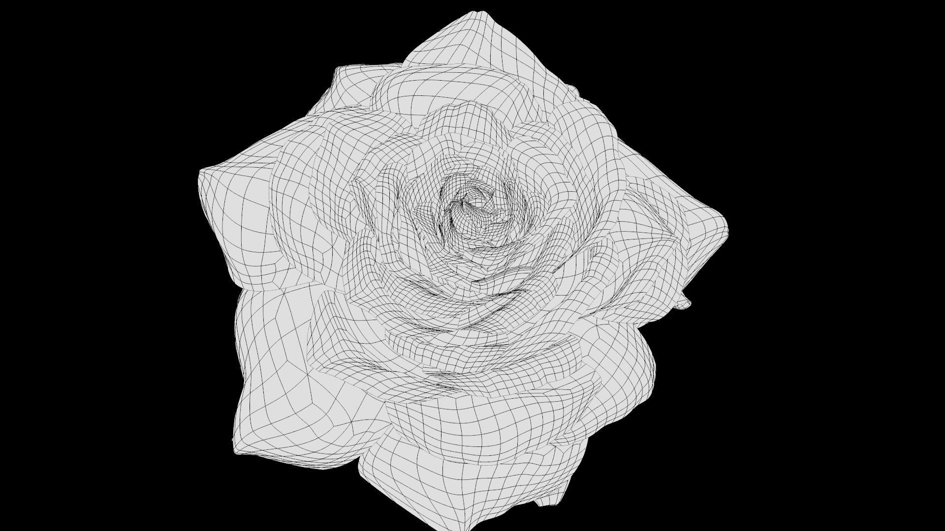 Red Rose 3D model_27