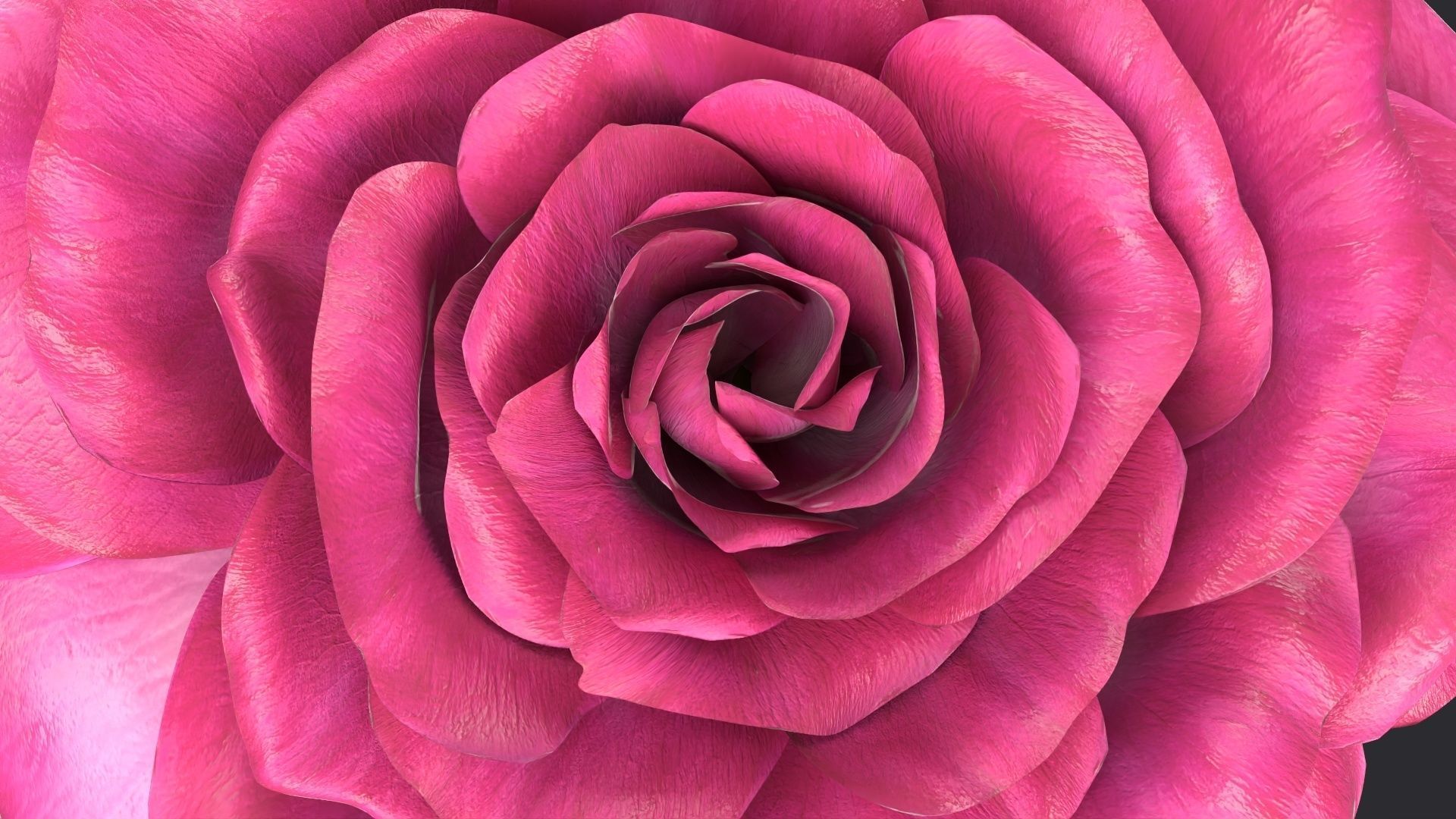 Red Rose 3D model_13