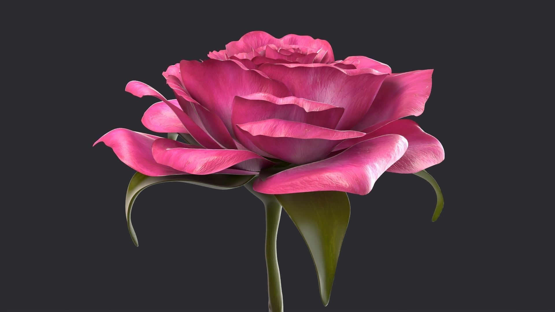 Red Rose 3D model_14