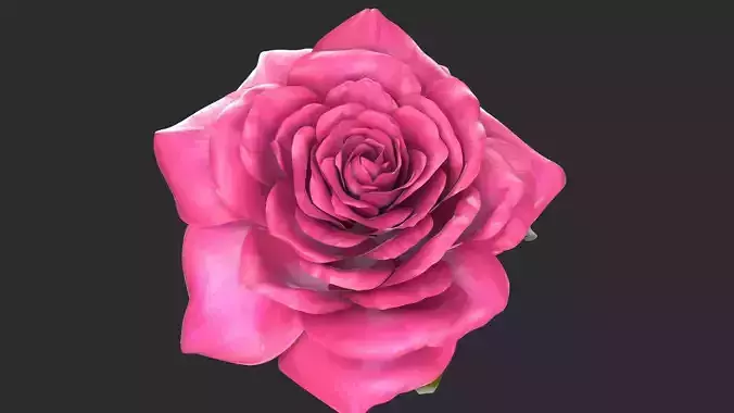 Red Rose 3D model