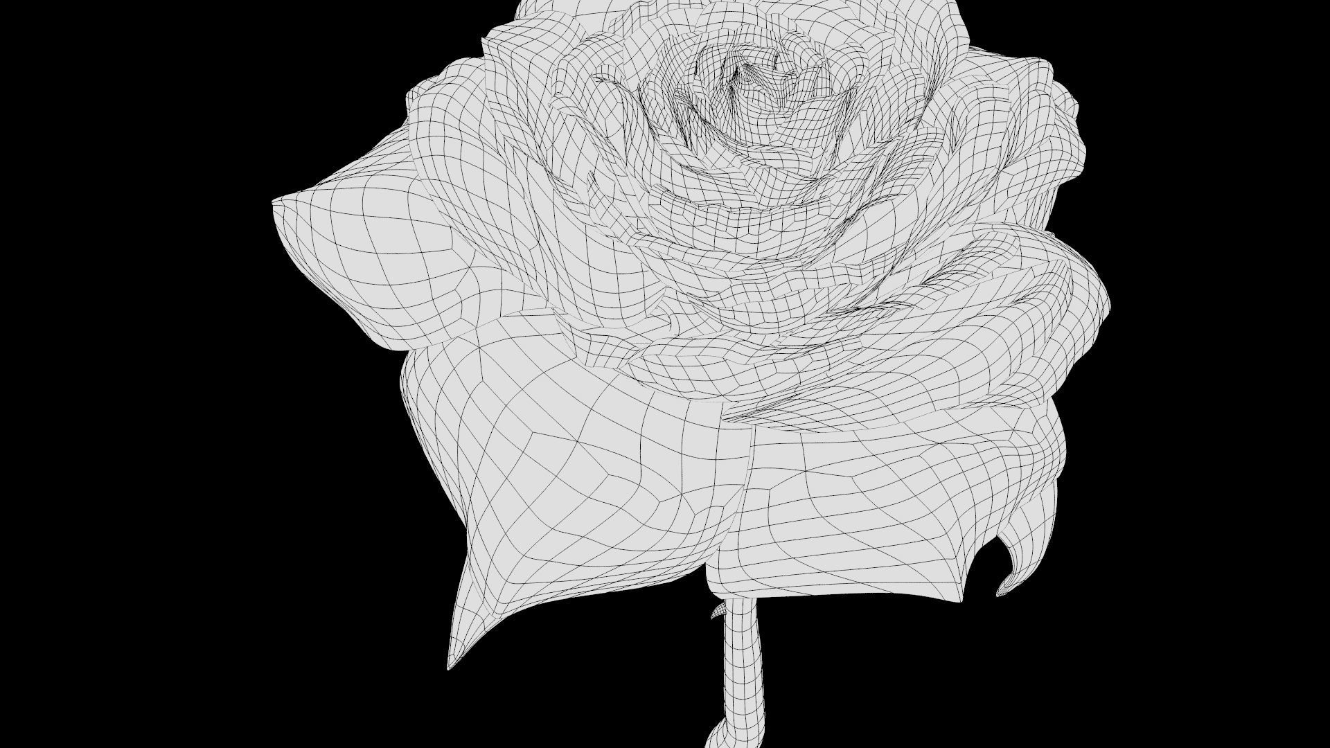 Red Rose 3D model_26