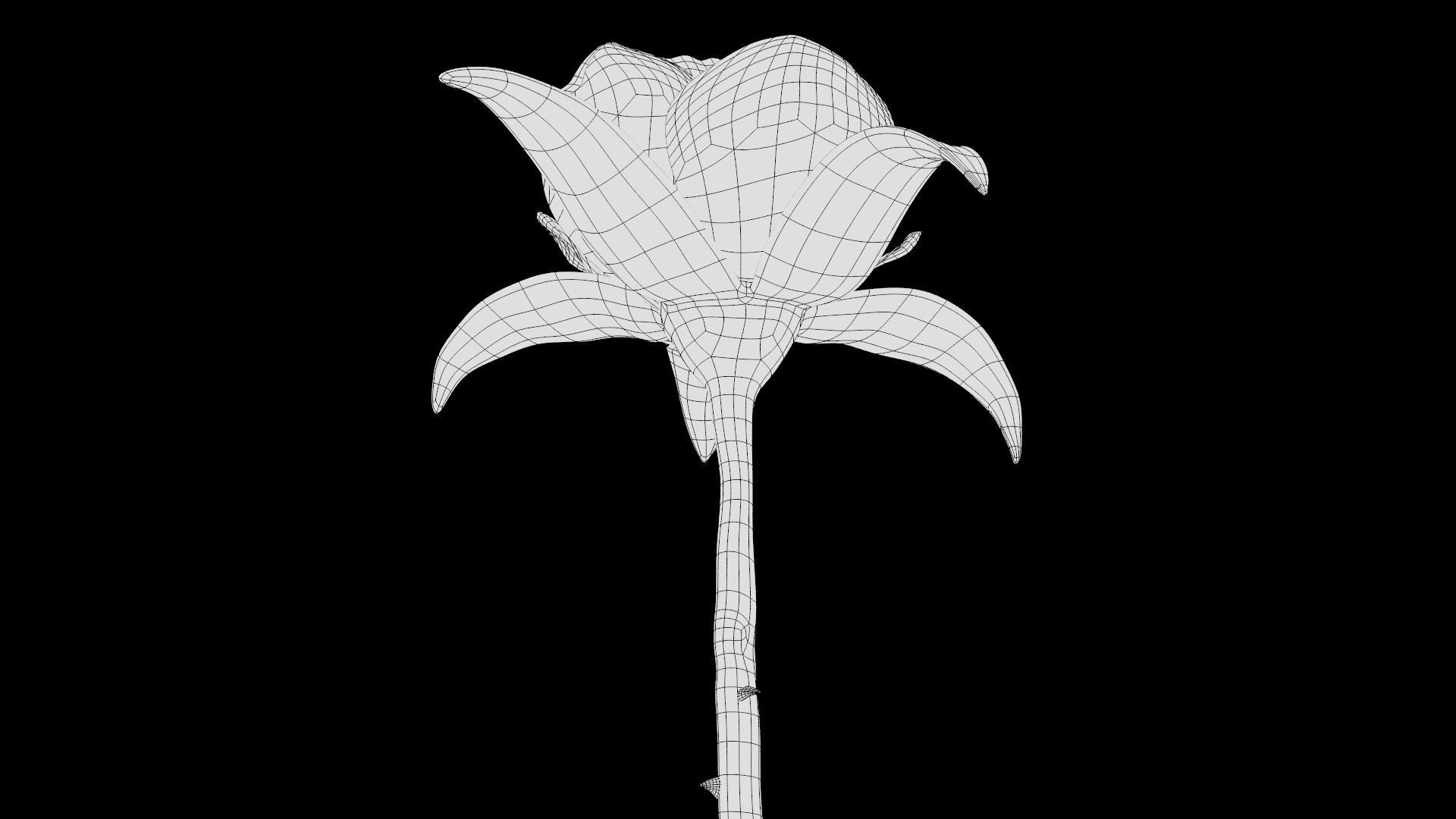 Red Rose 3D model_24