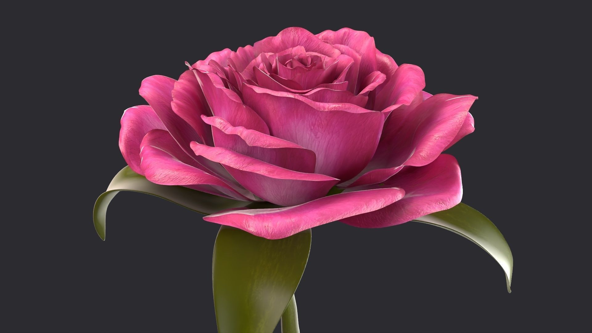 Red Rose 3D model_10