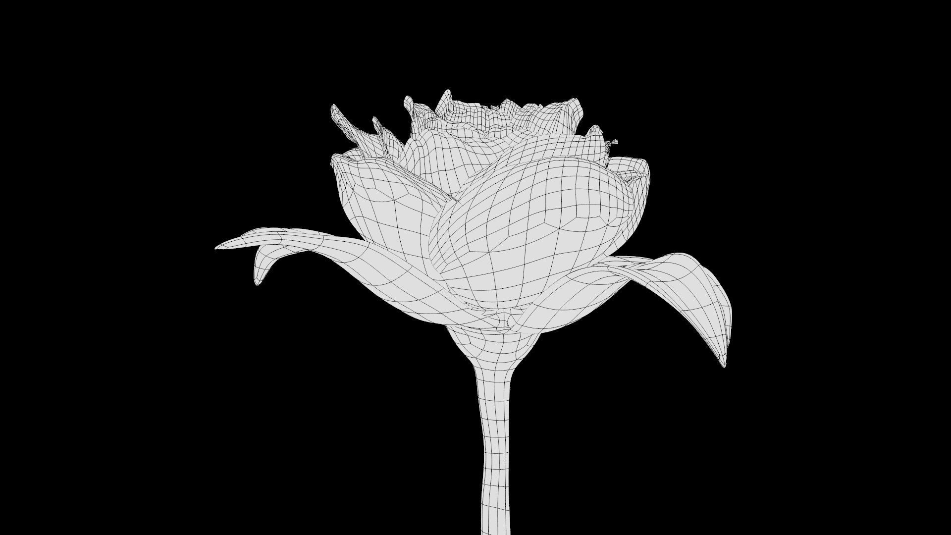 Red Rose 3D model_23