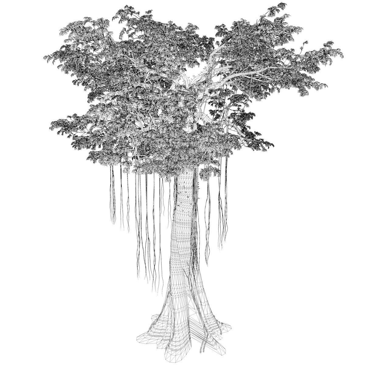 Kapok Tree - 01 - 3D model_2